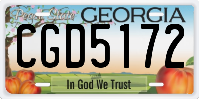 GA license plate CGD5172