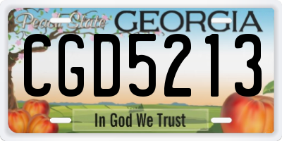 GA license plate CGD5213