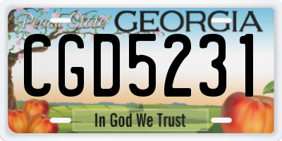 GA license plate CGD5231
