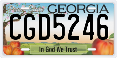 GA license plate CGD5246