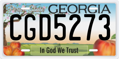 GA license plate CGD5273