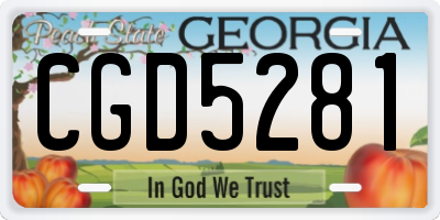 GA license plate CGD5281