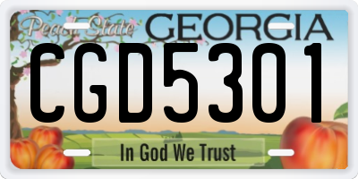 GA license plate CGD5301