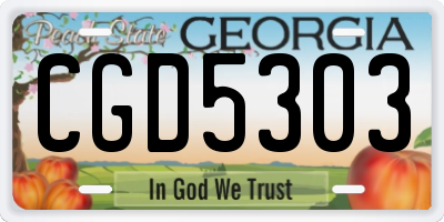 GA license plate CGD5303