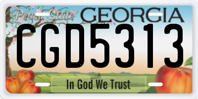 GA license plate CGD5313