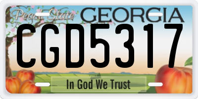 GA license plate CGD5317