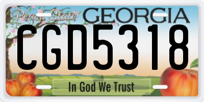 GA license plate CGD5318