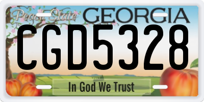 GA license plate CGD5328