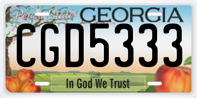 GA license plate CGD5333