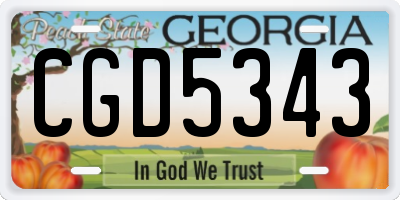 GA license plate CGD5343