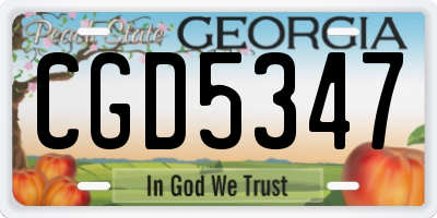 GA license plate CGD5347