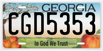 GA license plate CGD5353