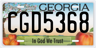 GA license plate CGD5368
