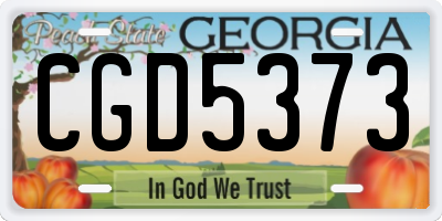 GA license plate CGD5373