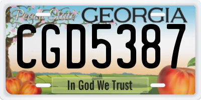 GA license plate CGD5387