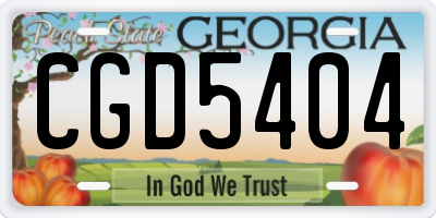 GA license plate CGD5404
