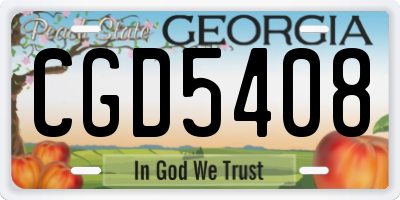 GA license plate CGD5408