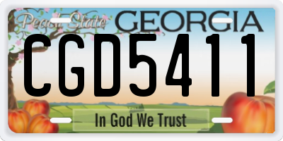GA license plate CGD5411