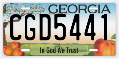 GA license plate CGD5441
