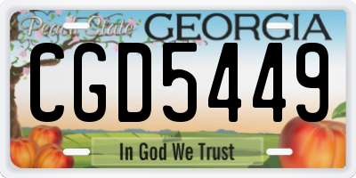GA license plate CGD5449