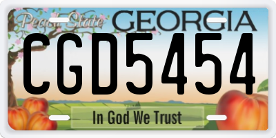 GA license plate CGD5454