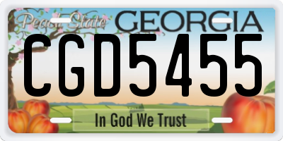 GA license plate CGD5455