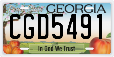 GA license plate CGD5491