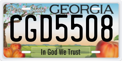 GA license plate CGD5508