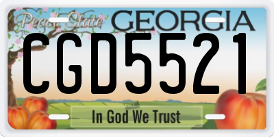 GA license plate CGD5521