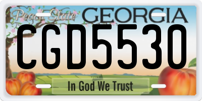GA license plate CGD5530