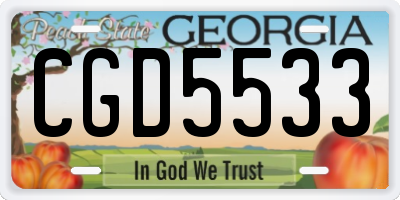 GA license plate CGD5533