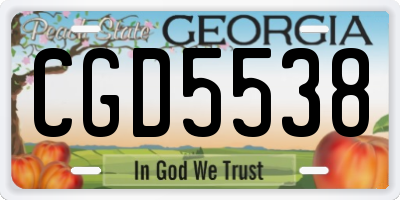 GA license plate CGD5538