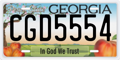GA license plate CGD5554