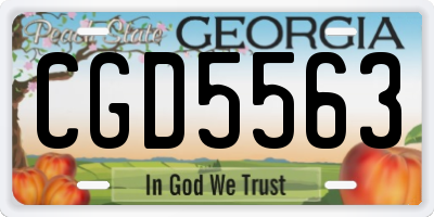 GA license plate CGD5563