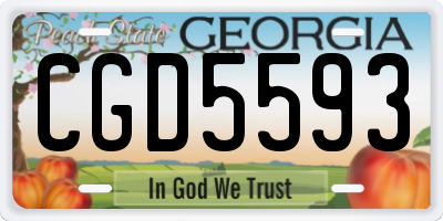 GA license plate CGD5593