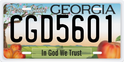 GA license plate CGD5601