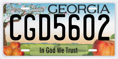 GA license plate CGD5602