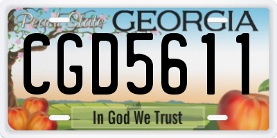 GA license plate CGD5611