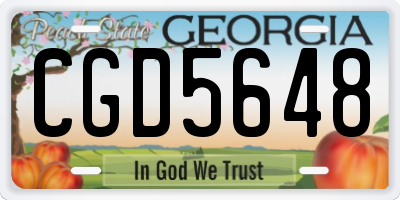 GA license plate CGD5648
