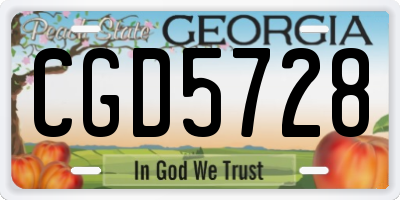 GA license plate CGD5728