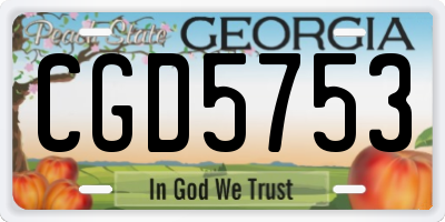 GA license plate CGD5753
