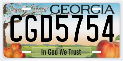 GA license plate CGD5754