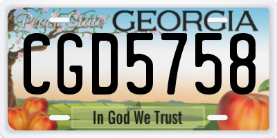 GA license plate CGD5758