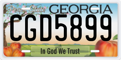 GA license plate CGD5899
