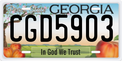 GA license plate CGD5903