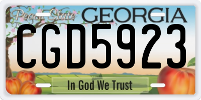 GA license plate CGD5923