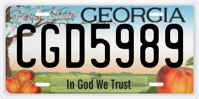 GA license plate CGD5989
