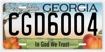 GA license plate CGD6004