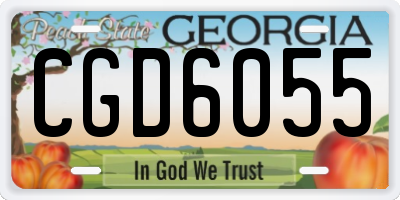 GA license plate CGD6055