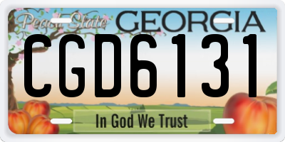 GA license plate CGD6131